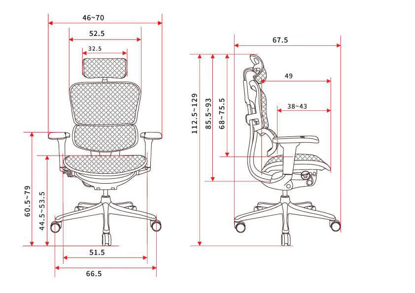 เก้าอี้เพื่อสุขภาพ DF PROCHAIR รุ่น Ergo Elite Ultra Plus สีเทา